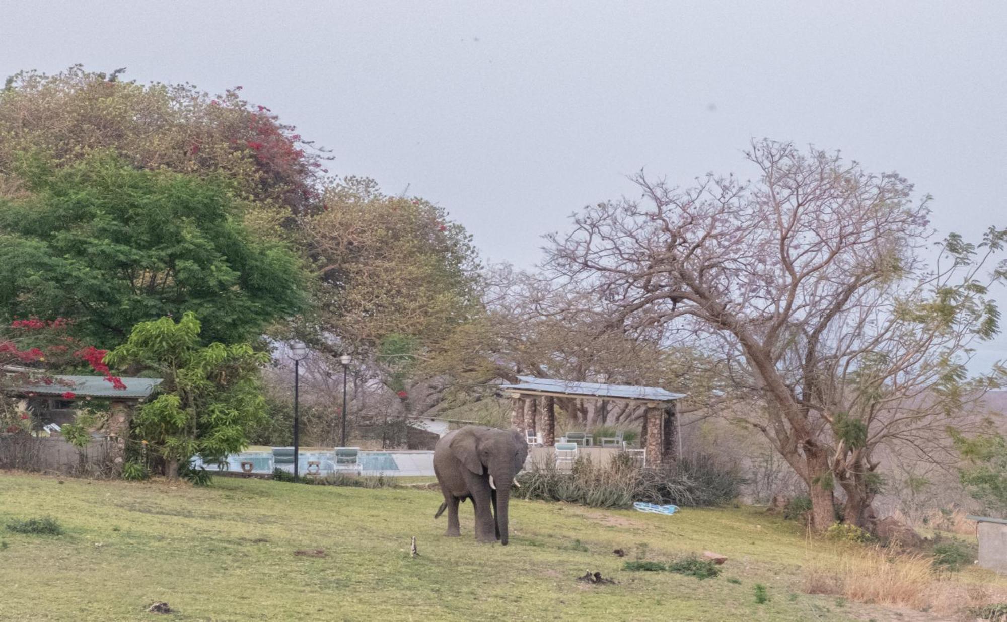 Musungwa Safari Lodge Shanjungu ภายนอก รูปภาพ