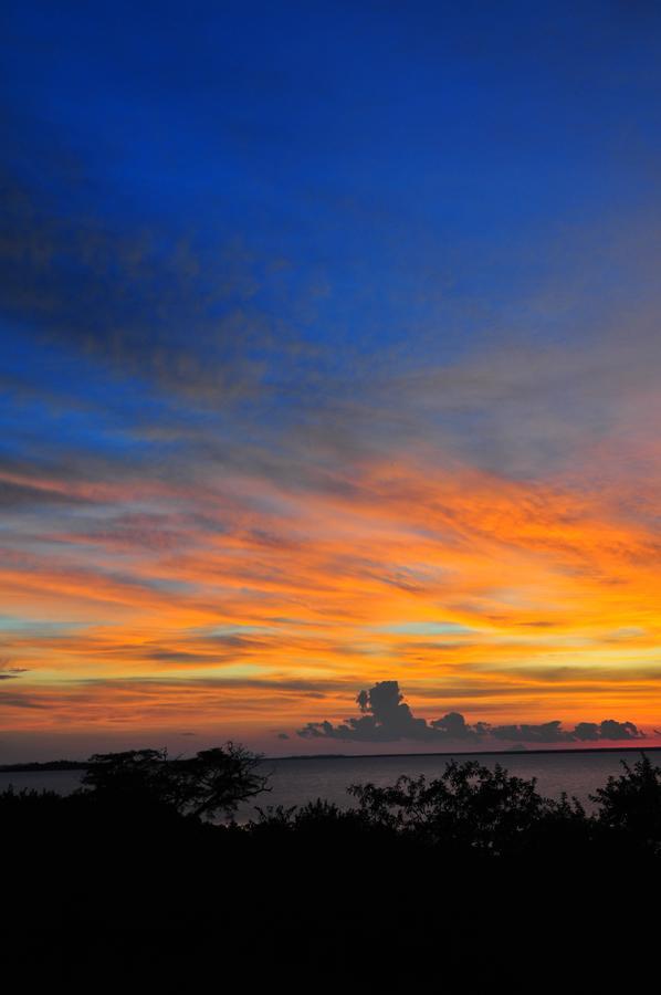 Musungwa Safari Lodge Shanjungu ภายนอก รูปภาพ